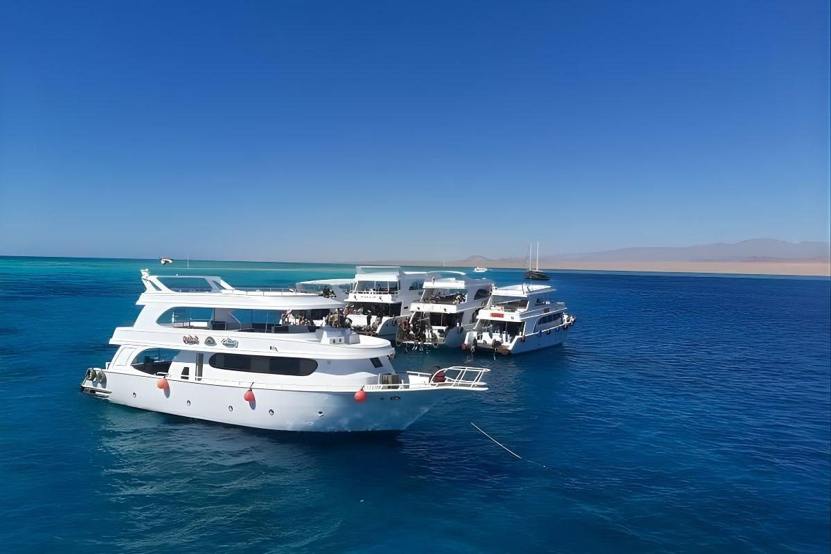 8-Day Egypt Honeymoon: Cairo and Hurghada Getaway